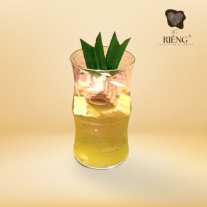 12. KHÚC BẠCH CACAO